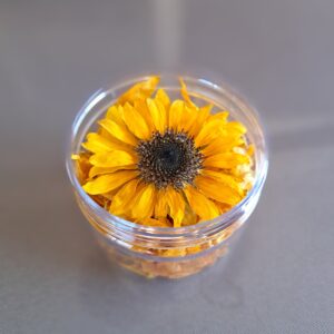 テストひまわり (複製)